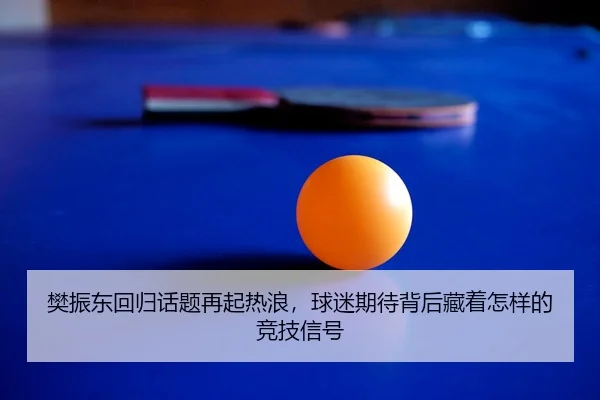 樊振东回归话题再起热浪，球迷期待背后藏着怎样的竞技信号